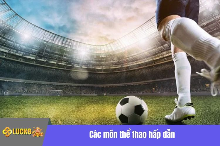 Các môn thể thao hấp dẫn